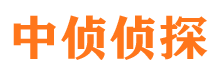 新市市私家侦探